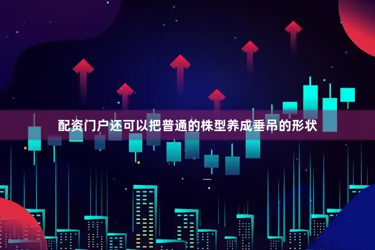 配资门户还可以把普通的株型养成垂吊的形状