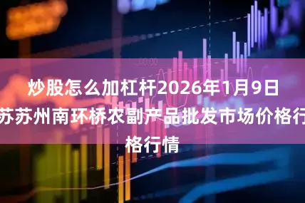 炒股怎么加杠杆2026年1月9日江苏苏州南环桥农副产品批发市场价格行情