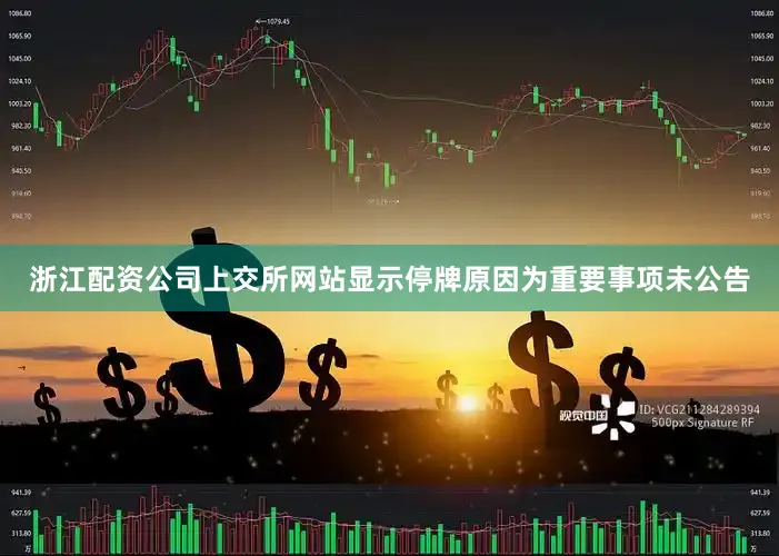 浙江配资公司上交所网站显示停牌原因为重要事项未公告